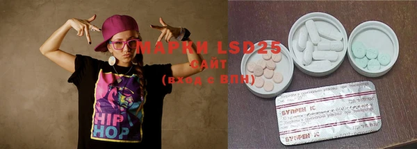 эйфоретик Вяземский
