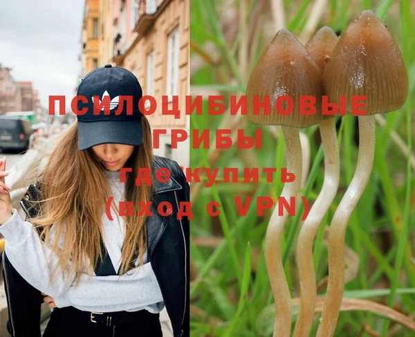 эйфоретик Вяземский