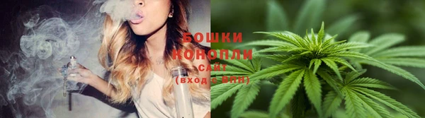 эйфоретик Вяземский