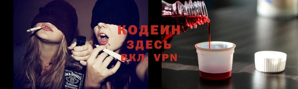 эйфоретик Вяземский