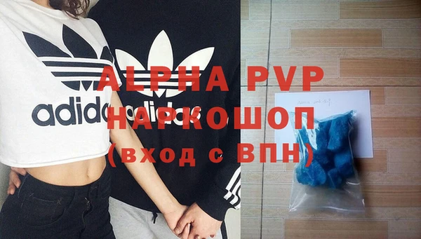 эйфоретик Вяземский