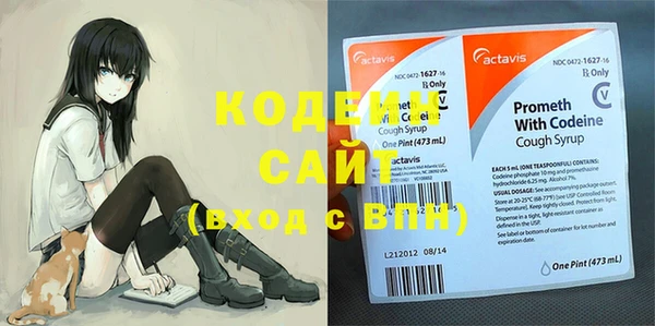 эйфоретик Вяземский