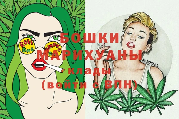 эйфоретик Вяземский