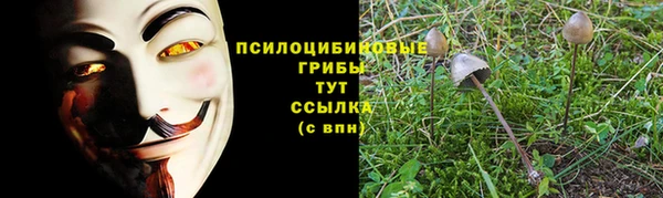 кристаллы Вязьма